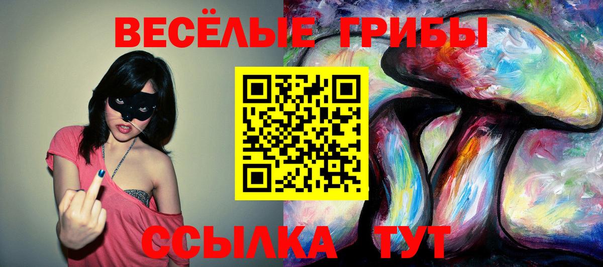 Галлюциногенные грибы Psilocybine cubensis Верхняя Салда