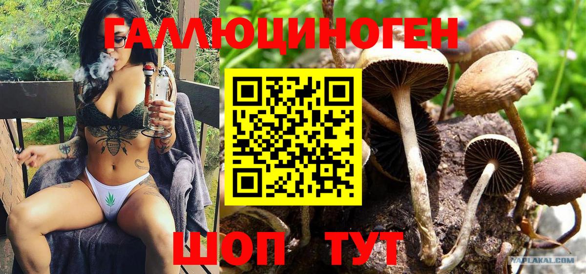 Верхняя Салда  Псилоцибиновые грибы мухоморы  Вход с VPN 